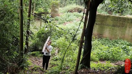 The girl hides in the mountains and builds her own jungle house