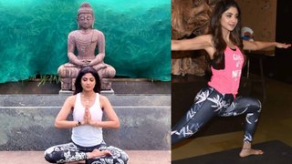 Shilpa Shetty home yoga for world international yoga day