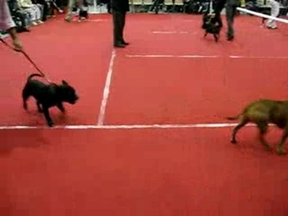 Bourg en Bresse - 17/02/08