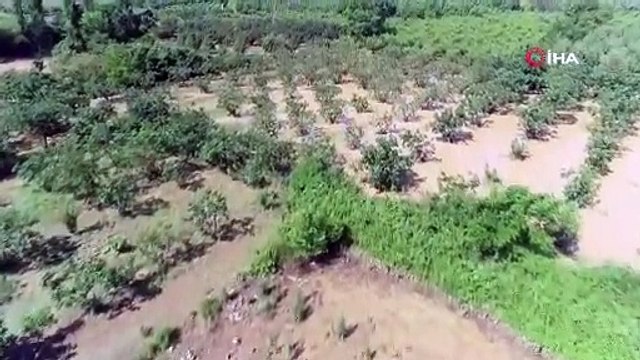 Görüntüler Bursa'dan... Binlerce dönüm tarım arazisi sular altında...