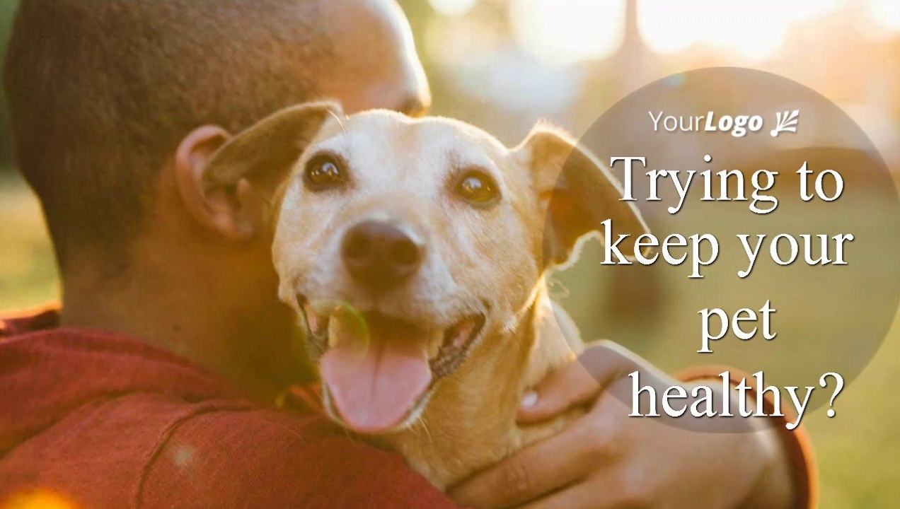 Pet Care Services