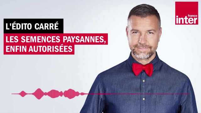 Les semences paysannes, enfin autorisées - L’Édito carré de Mathieu Vidard