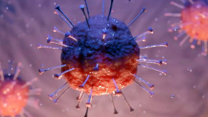 Coronavirus, GlaxoSmithKline corona vaccine enters clinical trials