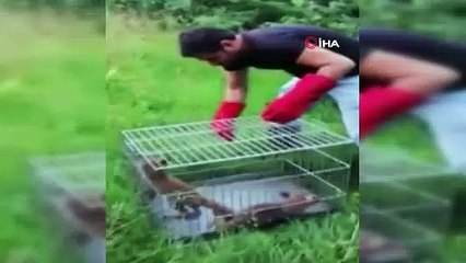 Tellere sıkışan yavru tilkiler kurtarıldı