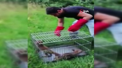 Tellere sıkışan yavru tilkiler kurtarıldı