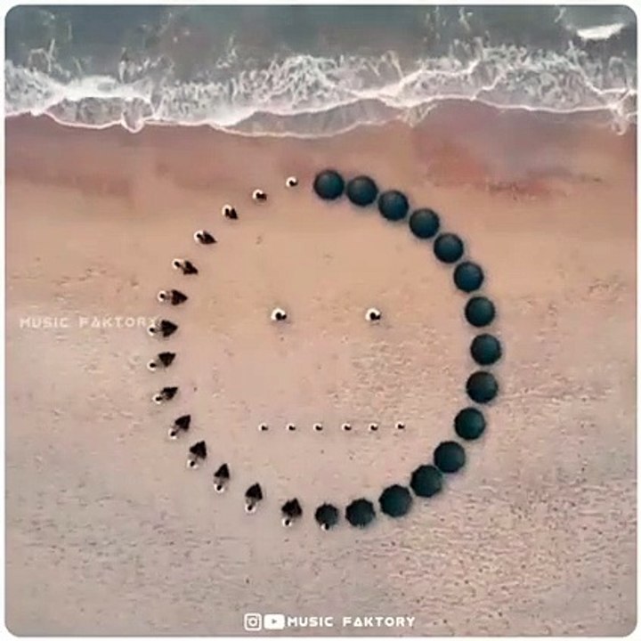 Vv