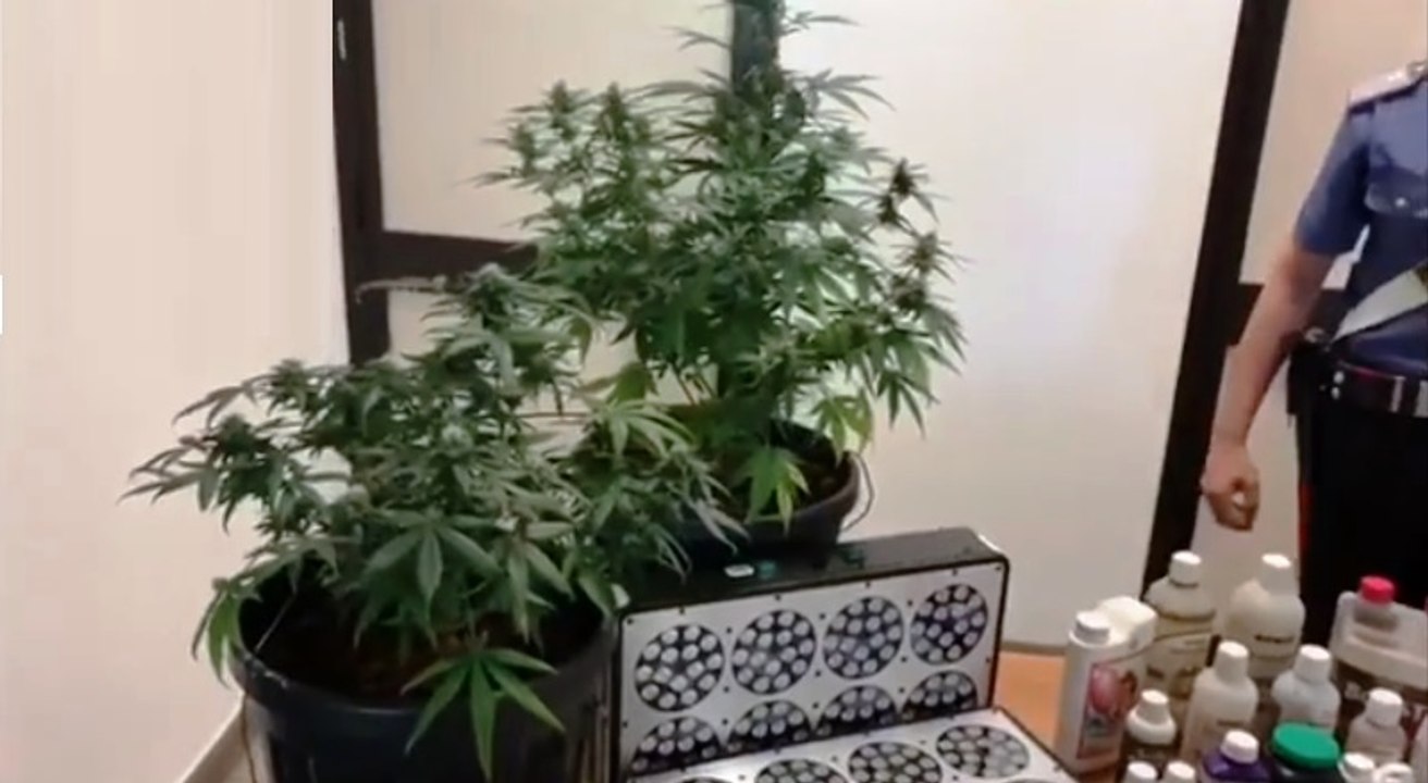 Castiglione Torinese (TO) - "Stanza segreta" con serra di marijuana (22.06.20)