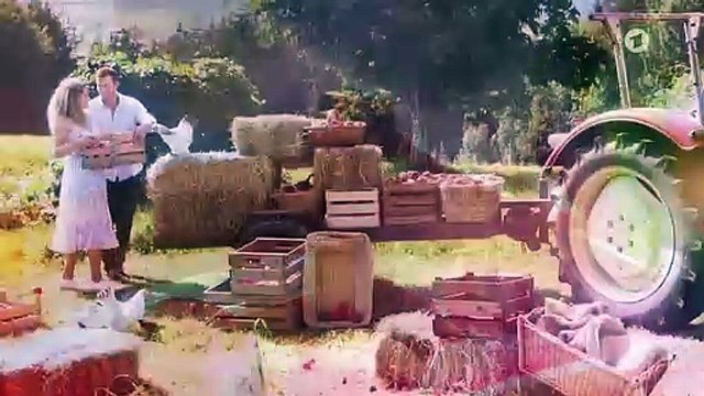 Sturm der Liebe 3390 folge