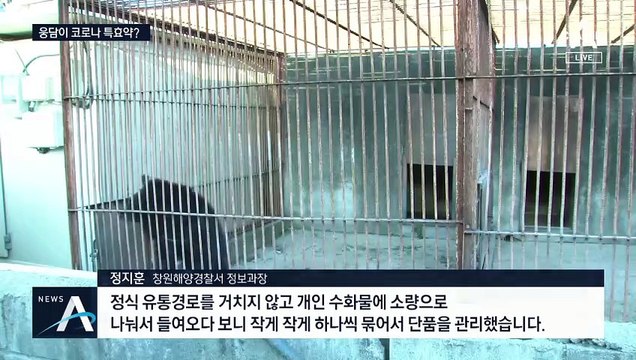 “코로나 특효약”…웅담 밀반입해 판매한 일당 불구속 입건