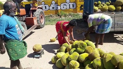 கொரோனா பரவல்.. பலாப்பழ விற்பனை மந்தம்.. வியாபாரிகள், விவசாயிகள் கண்ணீர்