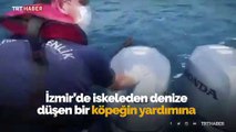 İzmir'de denize düşen köpeği Sahil Güvenlik ekipleri kurtardı