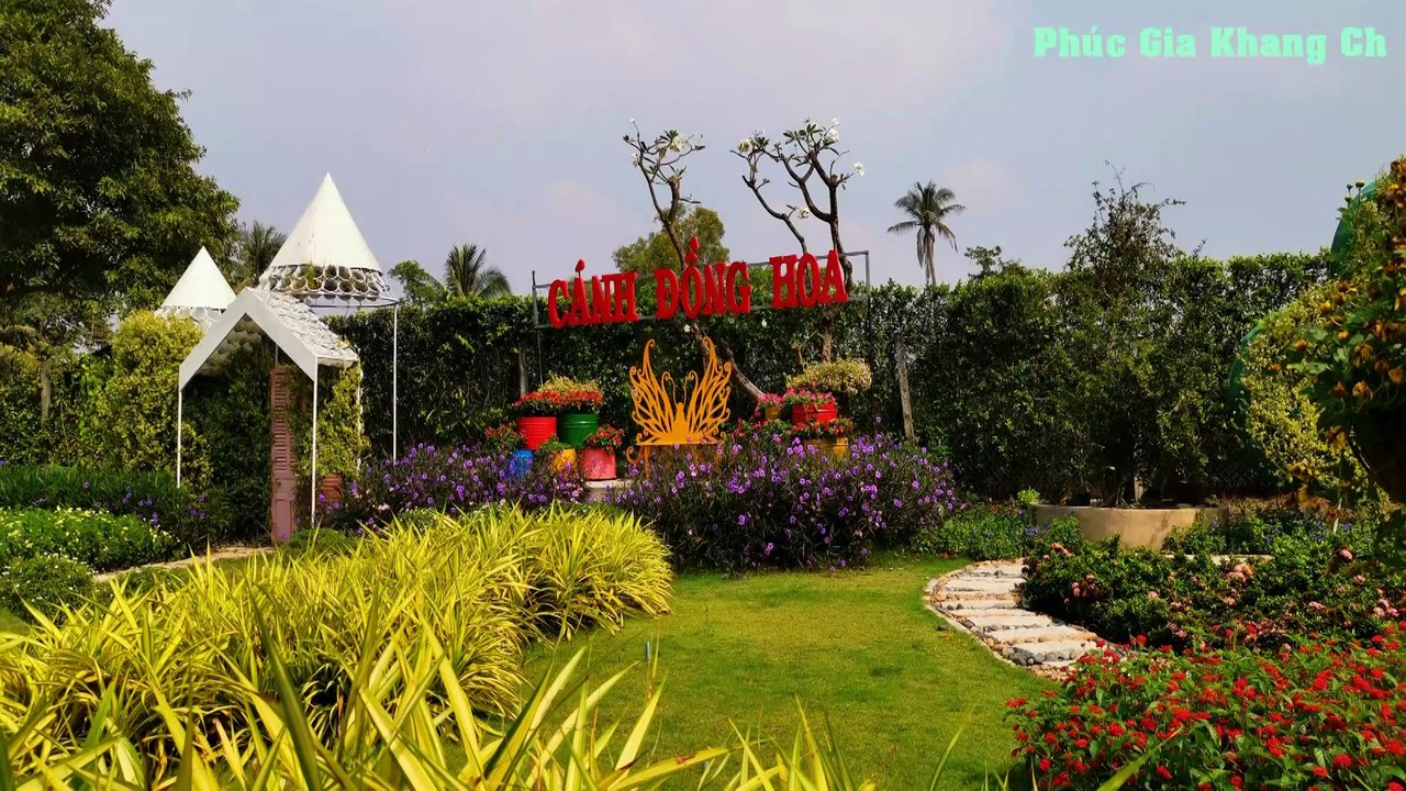 Khám phá Cánh Đồng Hoa ven Sài Gòn