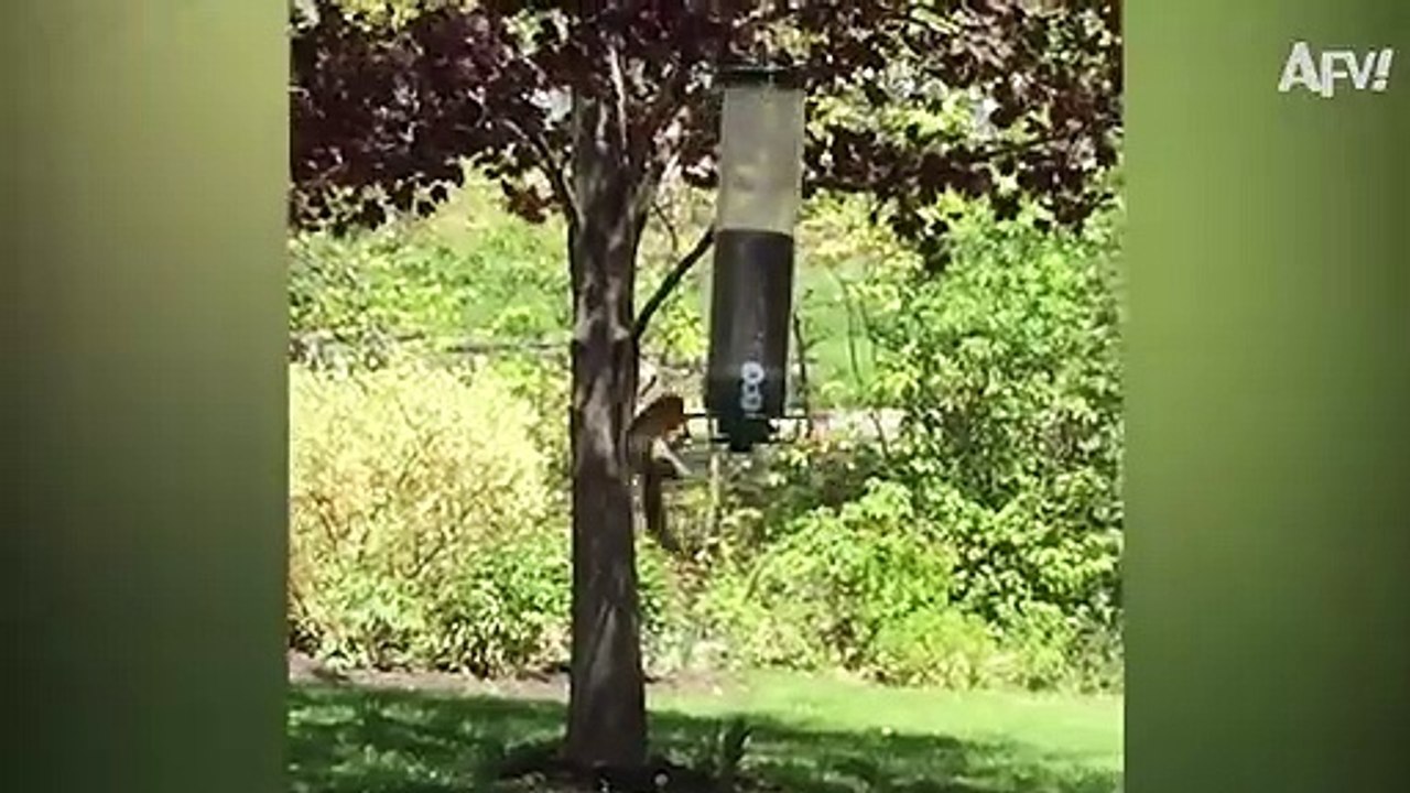 Talk About FAILURE to LAUNCH!  _ Funny Fails