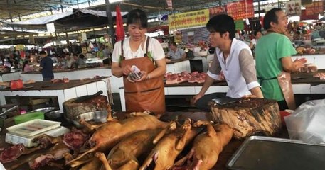 Chine : malgré l'interdiction de manger de la viande de chien et de chat, le festival de Yulin vient d'ouvrir ses portes