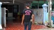 Snake handlers in Thailand smash open ceiling to catch two reptiles living inside