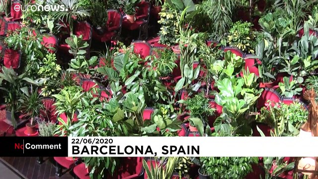 Растениям на концерт можно без масок