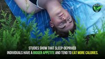 10 Reasons Why Good Sleep Is Important |7-8 Hour Sleep Theory| Benefits of Full Sleep | Health Cures