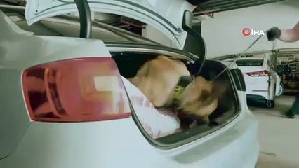 Kars’ta uyuşturucu operasyonu