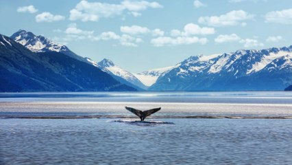 Here's Where People Are Looking to Visit — and Avoid — This Summer, According to Data From