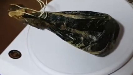 곰 웅담 몰래 들여와 판매한 외국인 6명 검거 / YTN