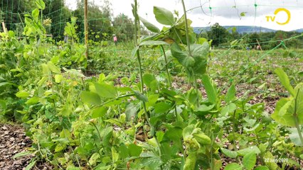 Sujet: vente à la ferme permacole des Evaux