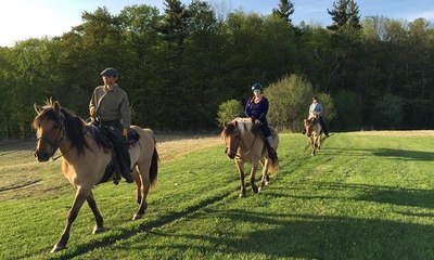 بريطانيا هي وجهتك المثالية إن كنت من محبي ركوب الخيل