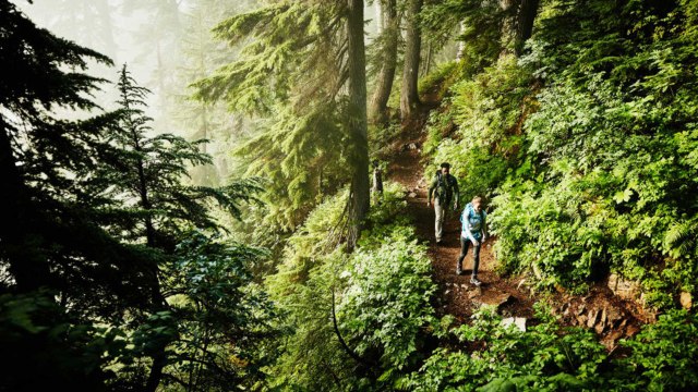 New Study Suggests Exploring Your Own Town Can Be Good For Your Mental Health