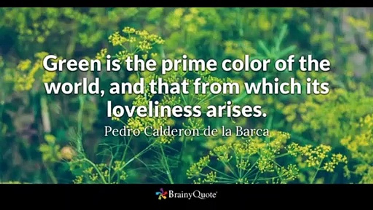 Plant A Garden To Save The Bees =)