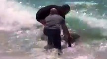 San Ferdinando (RC) - Carabinieri salvano un delfino spiaggiato (22.06.20)