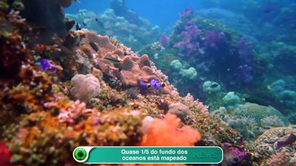 Quase 1/5 do fundo dos oceanos está mapeado
