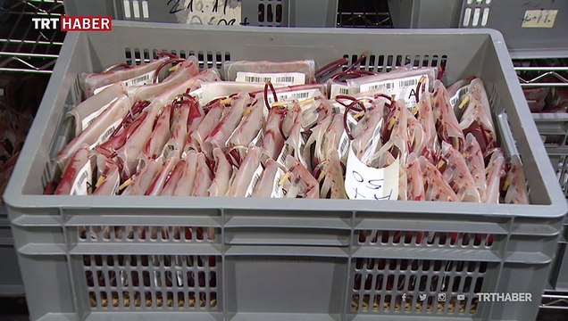 İmmün plazma bağışı için 1157 kişi sıra bekliyor