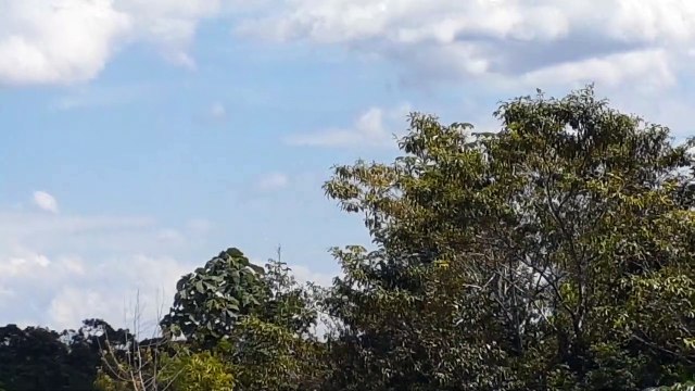 [SBEG Spotting]Boeing 737-800 PR-GUX na final antes de pousar em Manaus vindo de Guarulhos(22/06/2020)