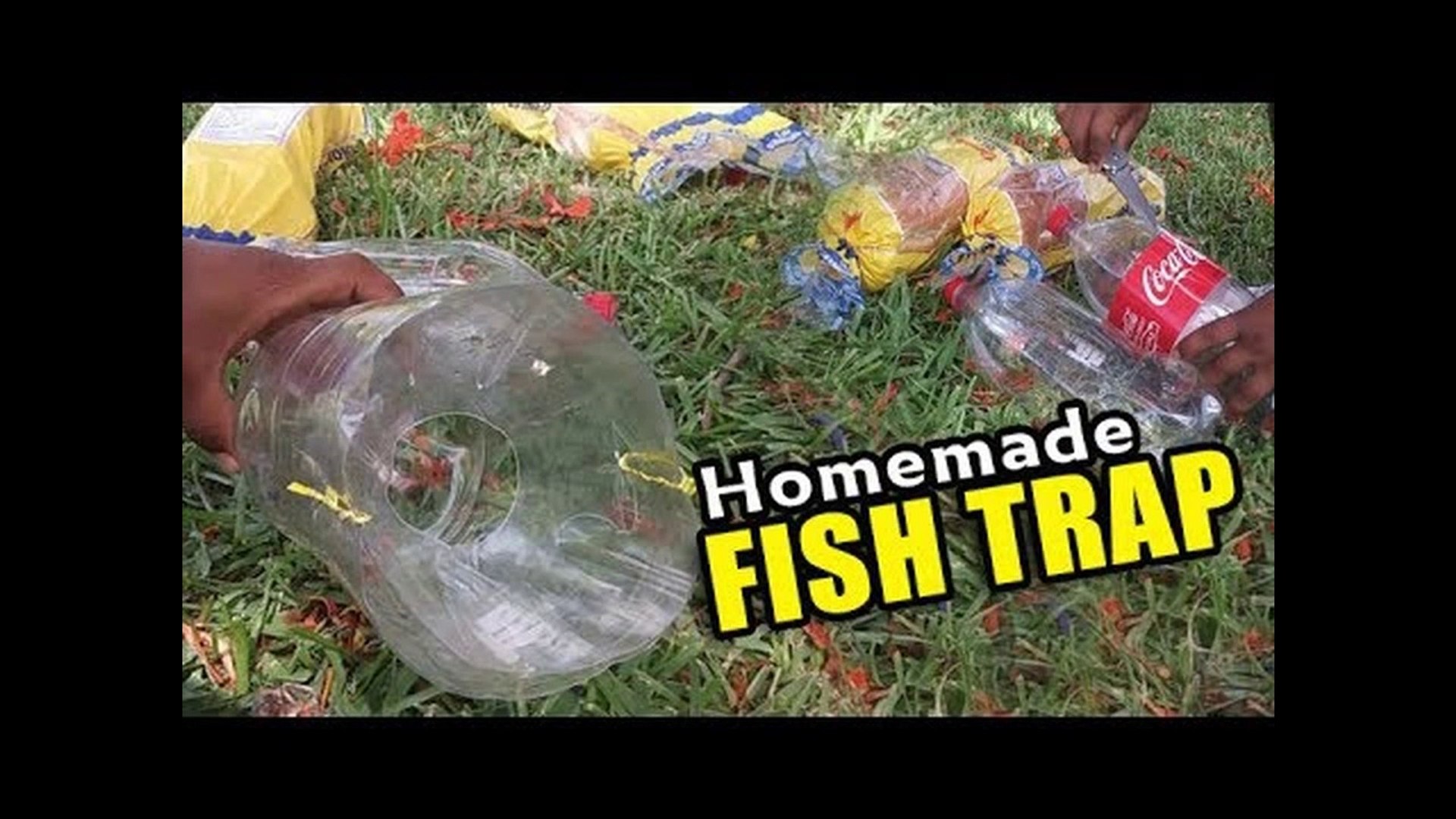 DIY PLASTIC BOTTLE FISH TRAP!!! - video Dailymotion