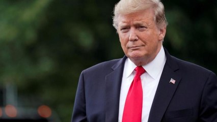 Donald Trump issues proclamation to suspend H-1B, other visas till year end