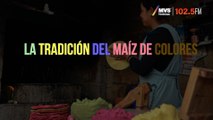 La tradición del maíz de colores