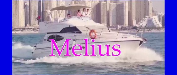 Melius Comment Devenir ...