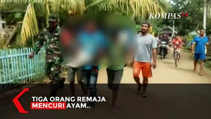 Tiga Orang Remaja Diarak Keliling Kampung Karena Mencuri Ayam