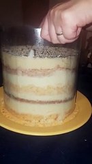 Démoulage d'un gateau complètement raté ! Il tombe de l'assiette !