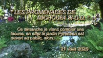 LES PROMENADES DE MICHOU64 W-D.D. - 21 JUIN 2020 - PAU - UN PETIT TOUR DOMINICAL ESTIVAL AU PARC BEAUMONT