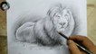 How to draw Lion | Pencil Shading painting Lion | Lion sketch with charcoal pencil | For Beginners