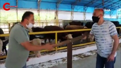 İstanbul’da kurban pazarında sosyal mesafeli pazarlık böyle görüntülendi