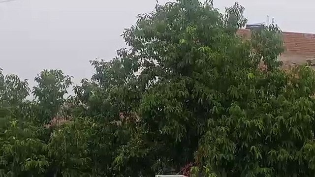 कानपुर में मौसम बिगड़ा, जमकर बारिश शुरू