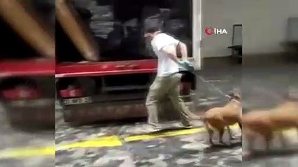 Kargo şubesine kaçakçılık operasyonu