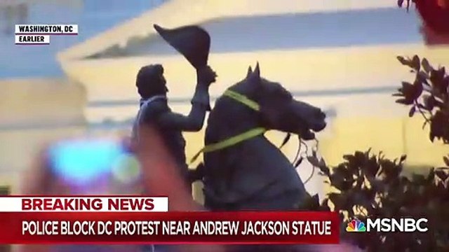 Des manifestants à Washington ont tenté de mettre à terre une statue, située devant la Maison Blanche, de l’ancien président Andrew Jackson, qui soutenait l’esclavage - VIDEO