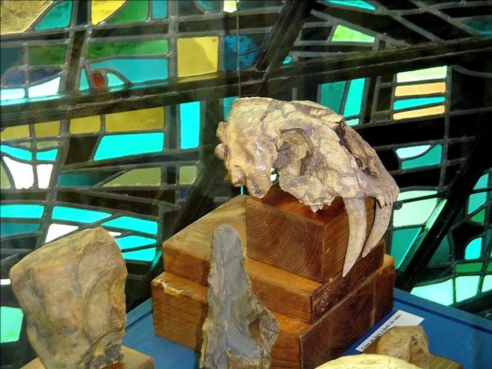 Paleolitico e Religione le origini dell'Uomo