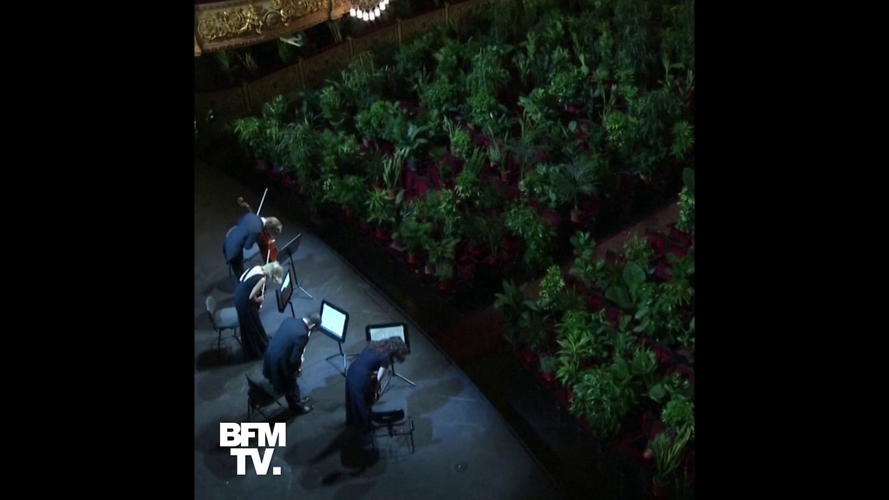 L'opéra de Barcelone a rouvert devant un public... composé de 2200 plantes