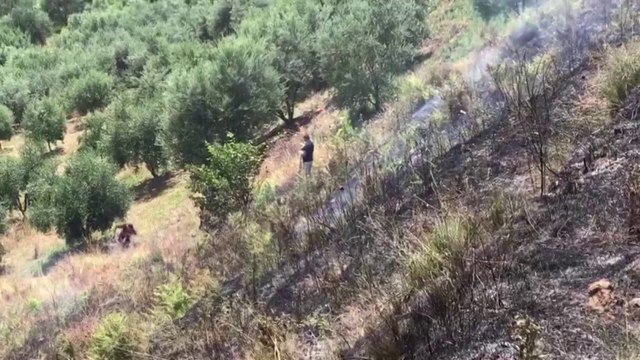 Ora news - Digjen sipërfaqe me ullinj dhe mbetje urbane në Patos