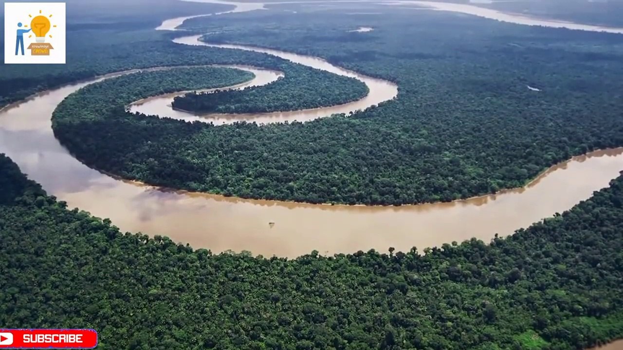 Facts About Amazon Forest In Hindi | Secrets Of Amazon Rainforest | Dangerous Amazon Jungle |अमेज़न वन के बारे में तथ्य । - Knowledge Crowd -