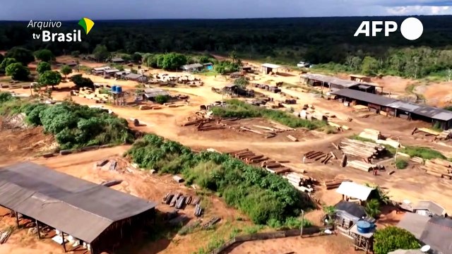 Fundos de R$20 tri pedem fim do desmatamento na Amazônia