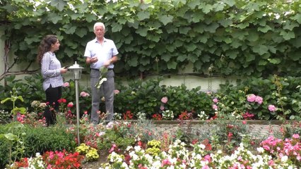 Kopshti shumëngjyrësh i Enver Pulës-Lajme